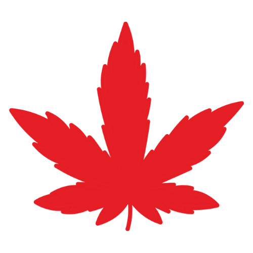 Canna North Cannabis Store Order Online