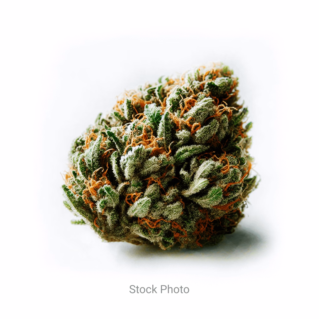 Muscle Shirt Rotating Indica