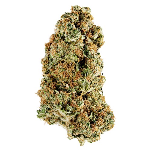 Redecan - Animal Rntz