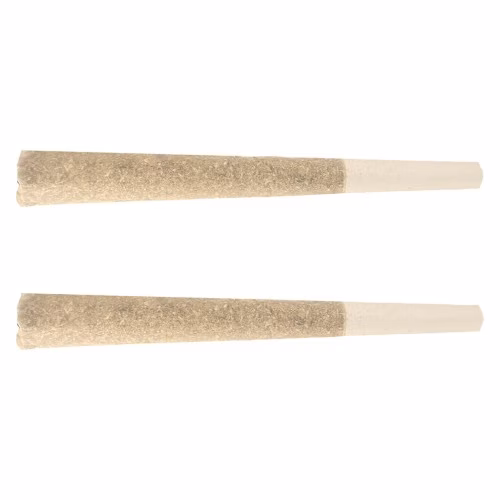 Stunnerz Sativa Pre-Rolls (Ghost Train Haze)
