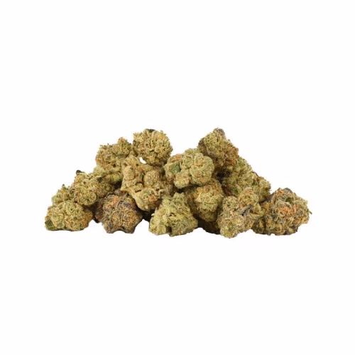 TABLE TOP - Jungle Cake