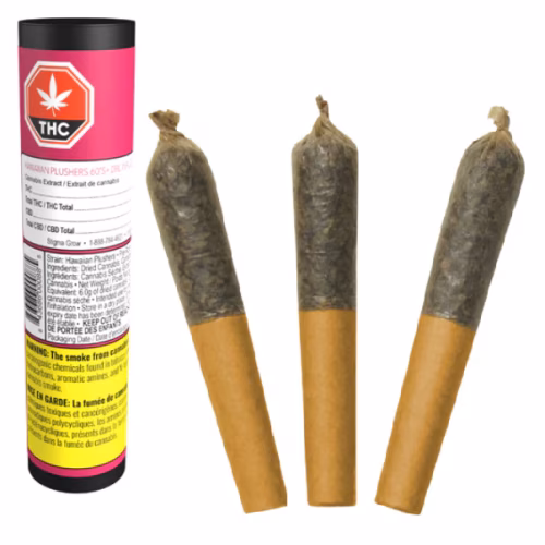 Dab Bods - Hawaiian Plushers 60's+ Dbl Infused Pre-Roll