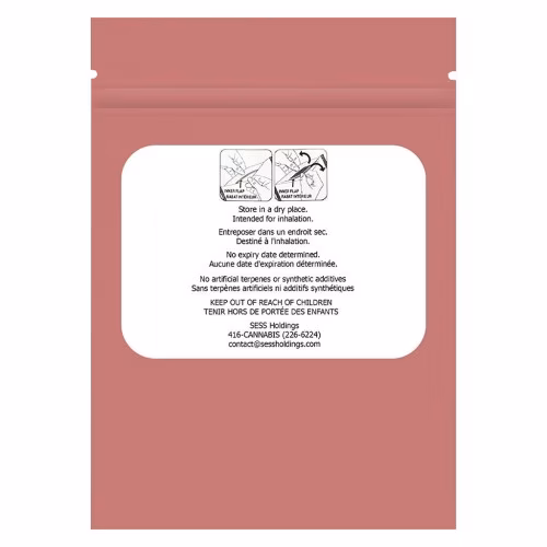 PACKS - Mini Packs Guava Gum