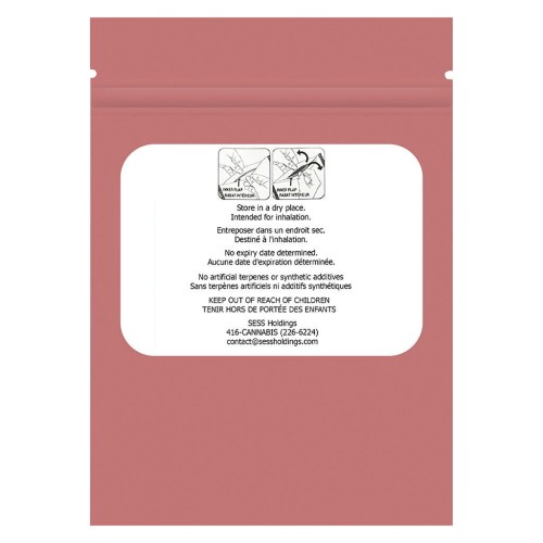 PACKS - Mini Packs Guava Gum