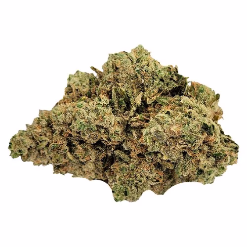 Truro Cannabis - Sleeping With The Stars
