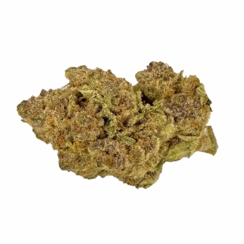 Elevator - Organic Frosted Kiwi