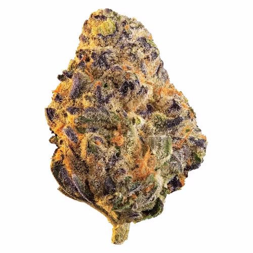 Edison - Black Cherry Punch