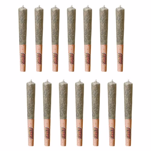 SHRED - OG Rootbeer Jar of Joints