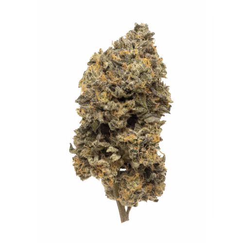 OGEN Ltd. - Velvet Apples #14