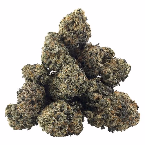 DEALR - DEALR’s Choice Indica