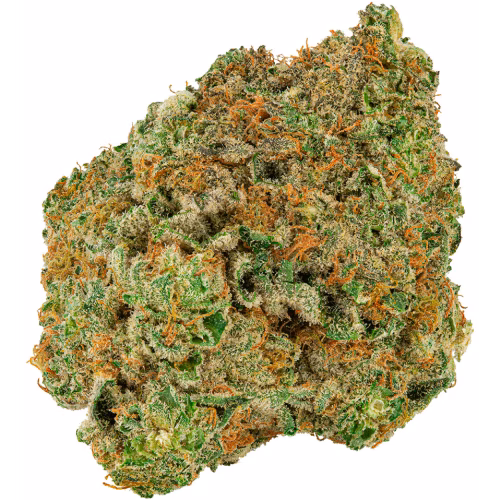 Big Bag O' Buds - Dough Lato