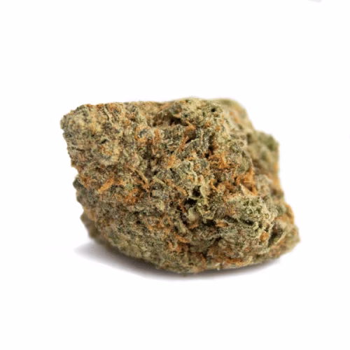 West Island Culture Inc. - Gelatti Kush