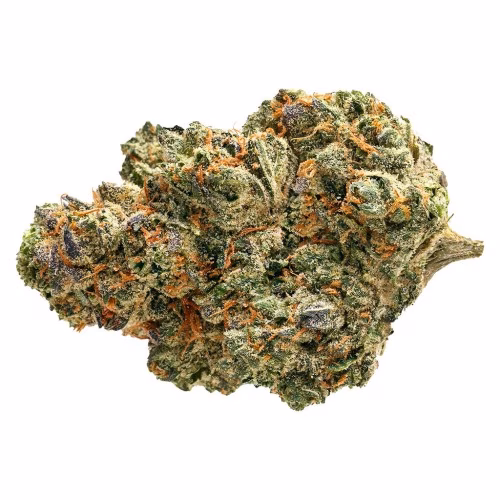 Pure Sunfarms - Sunday Cruiser