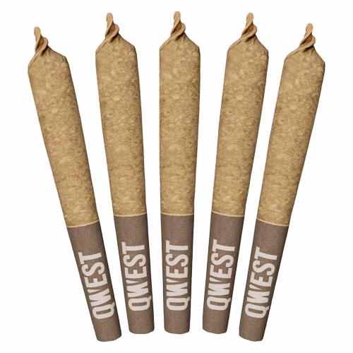 Qwest - Morning Sun Pre-Roll