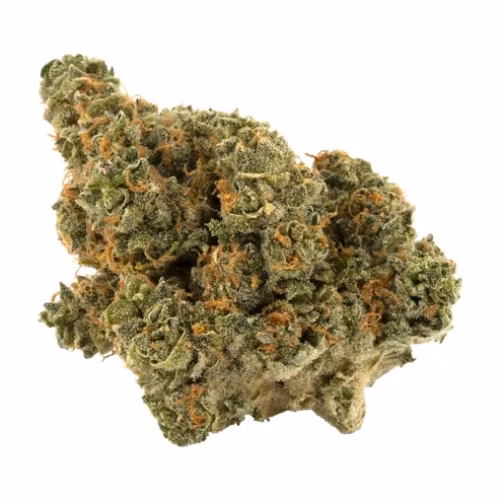 Palmetto - Romulan