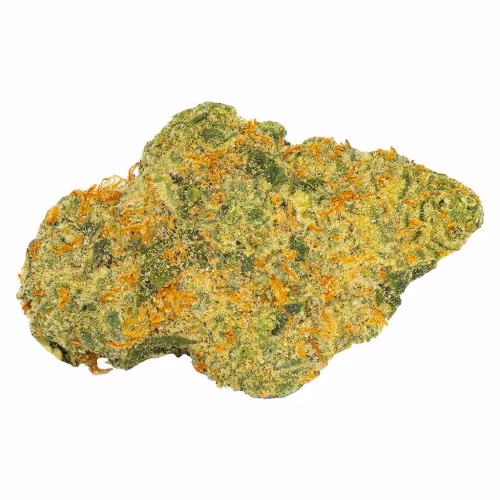 Daily Special - El Chemino