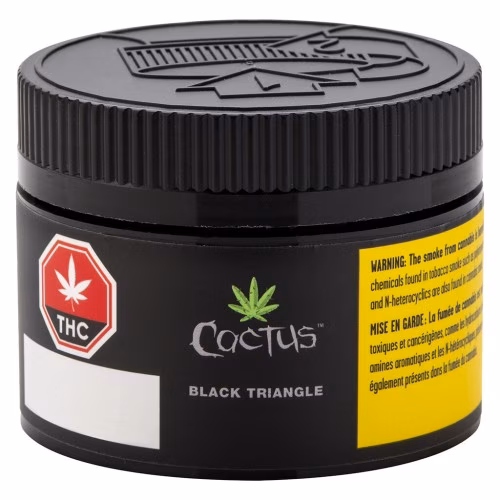 Cactus - Black Triangle