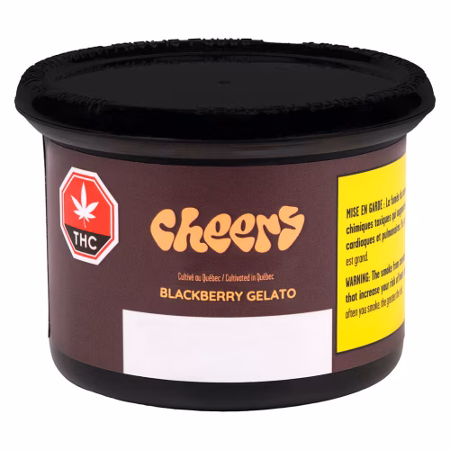 Cheers Cannabis - Blackberry Gelato