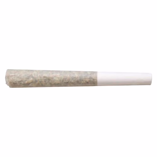 Truro Cannabis - Jealousy X Apples & Bananas Pre-roll