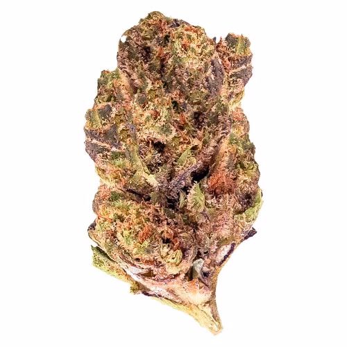 Grape Pie