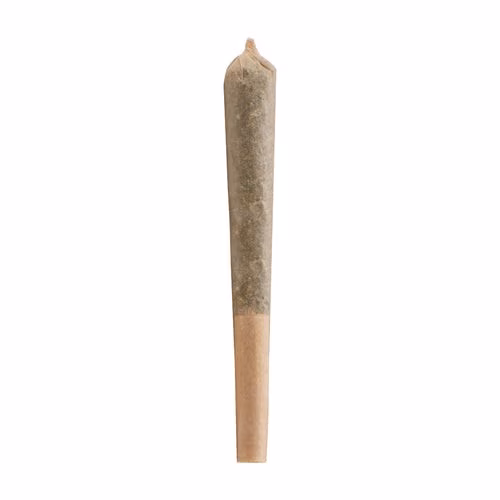 Versus - Sweet Island Skunk Jar of Js