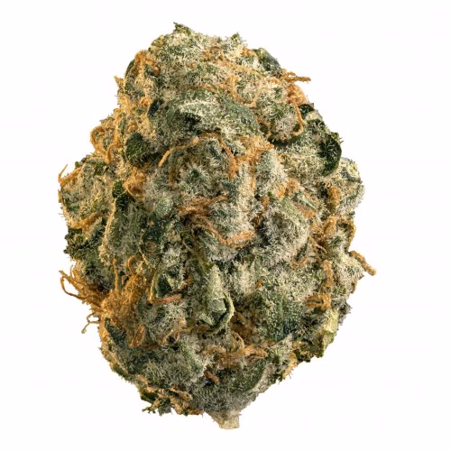 Edison - Chemdog