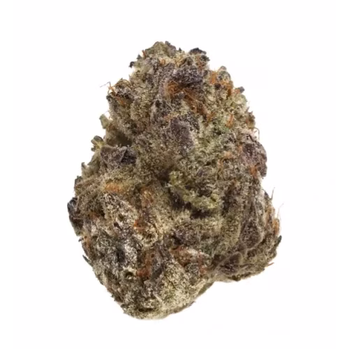 Peers - GSC