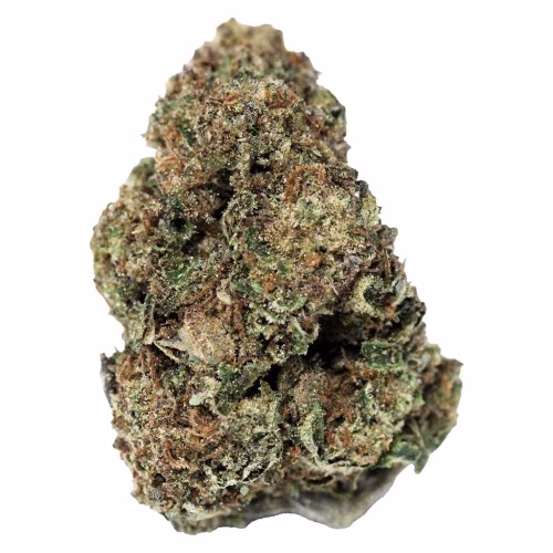 Northern Lights