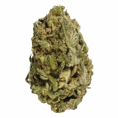 Bake Sale - All Purpose Flower Sativa