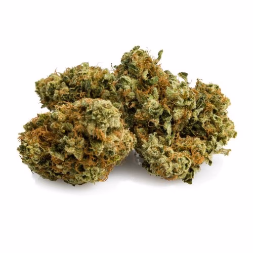 Daily Special - MK Ultra