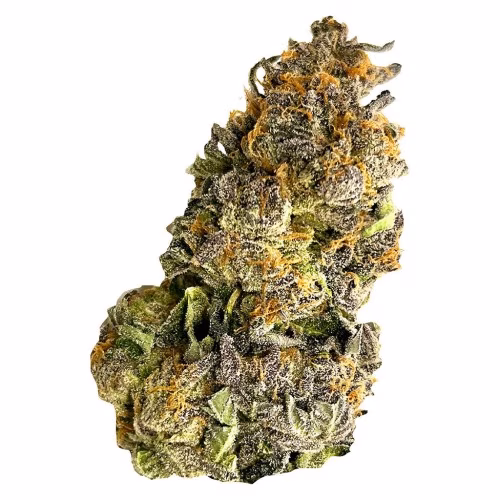 Castle Rock Farms - Candyland