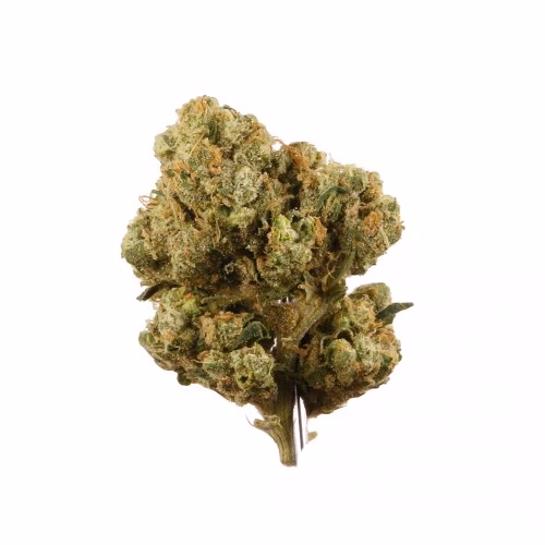 Canaca - Sour Diesel