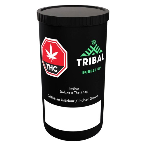 Tribal - Bubble Up