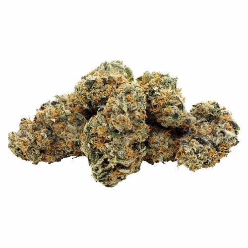 Electric Lettuce - Charged Indica