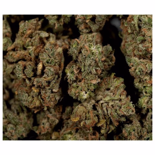 Original Stash - OS.Sativa