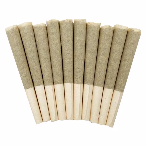 Skosha - Storm Indica Pre-Roll