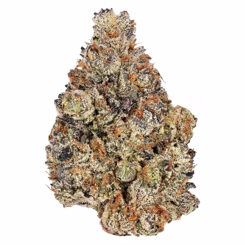Holy Grail Kush- Broken Coast - Dried Flower