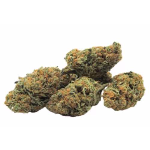 Green Mountain - Gorilla Zkittlez