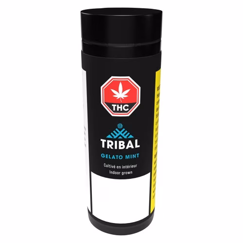 Tribal - Gelato Mint