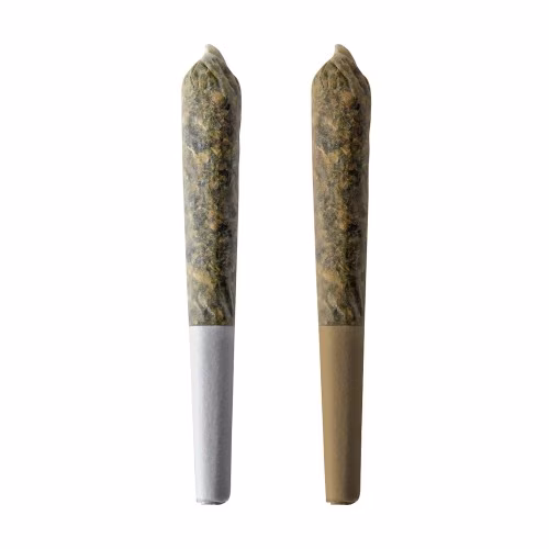 Ness - W. Coast Banana Skunk x Peanut Butter Mochi