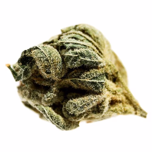 Potluck - Frosted Cherry