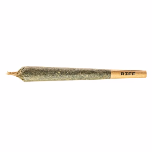 RIFF - Subway Scientist Pre-Roll