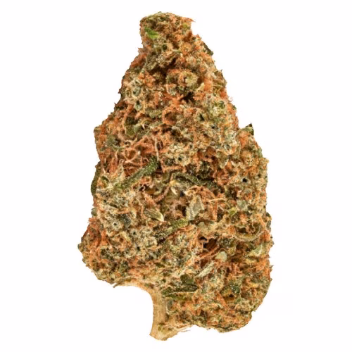 Big Bang Indica Smallz