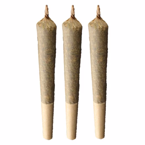 Sativa 20 Plus