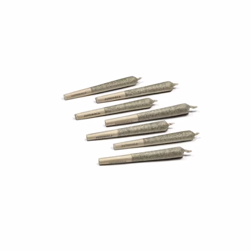 Kingsway - Kingsway Split Shift Pre-Rolls
