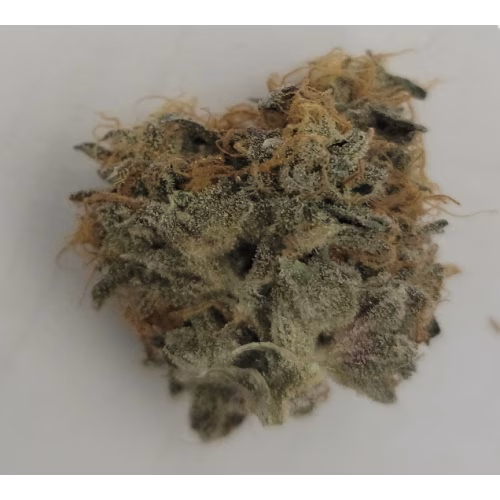 Western Cannabis - Tropical Party (Mc Call Family)