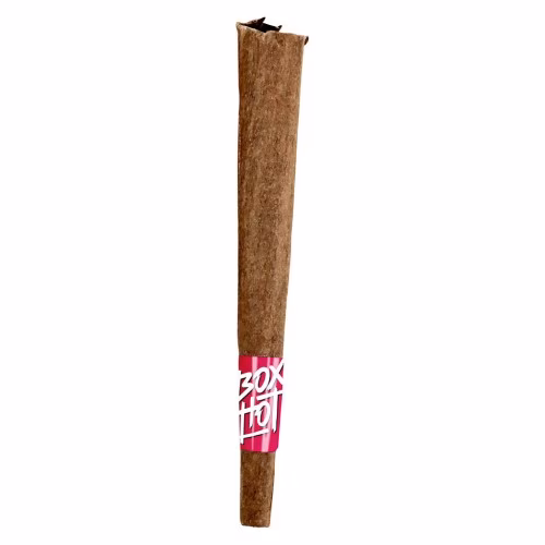 BOXHOT - Dragon's Breath Infused Blunt