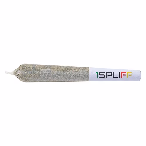 1SPLIFF - Starfighter / King Tut *Limited Edition*