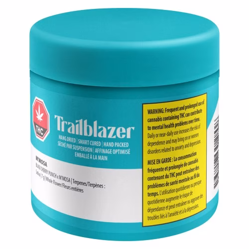 Trailblazer - M'mosa