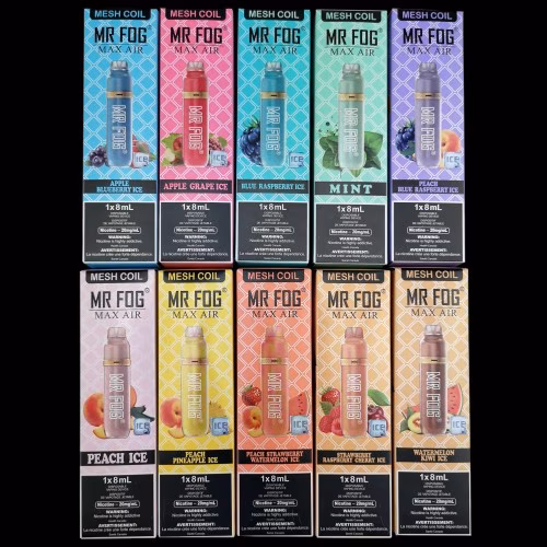 MR FOG MAX AIR MINT 2500